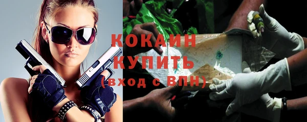 apvp Алексин