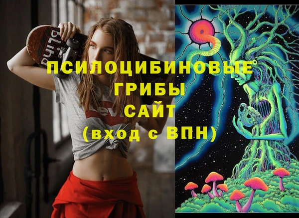 spice Алзамай