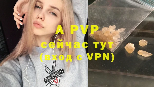 apvp Алексин