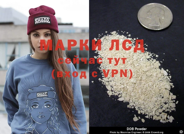 apvp Алексин