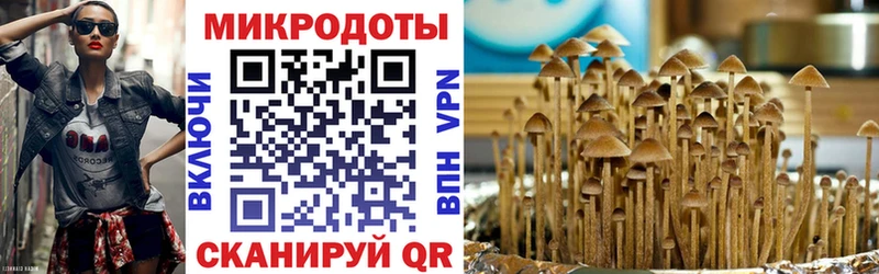 Галлюциногенные грибы Psilocybine cubensis  Тотьма 